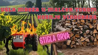 U&Scaron;LA MREŽA U MALČER - KO&Scaron;NJA VINOGRADA