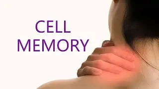 What is Cellular Memory? The breakthrough theory on why chronic pain and injury happens.