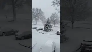 Snow in February in Kentucky 😳 #usa #snow #snowfall #winterwonderland #winter #wintertime