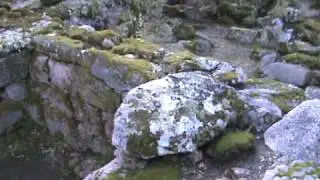 Schede Archeologiche: Il Tempio 
