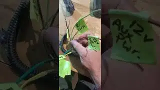 2005 Dodge Ram Trailer Wiring - HOW TO!