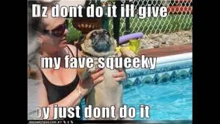 Loldogs