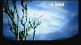 Bali Lounge - Apa