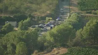 Una patrulla de mossos sorprendió al terrorista agazapado en un viñedo
