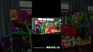 #leddisplay  Open Hole 3D LED Display screen Factory real shot effect,
