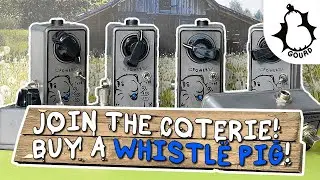 NEW RELEASE!  WHISTLE PIG TREBLE BOOSTER