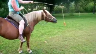 Carrot Stick Riding