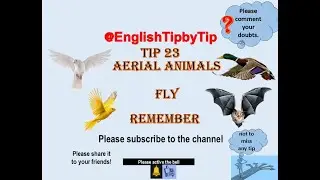 @EnglishTipbyTip TIP 23-REMEMBER-AERIAL ANIMALS FLY #shorts #amazon #english #learn  #tips #viral
