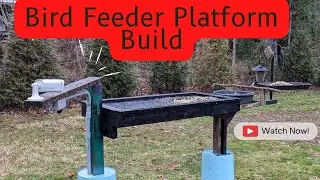 Bird Feeder Platform Build, with Live Stream Camera