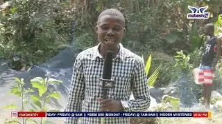 ASAASE ANI MFIRIFIRIYE IS LIVE WITH SAMPSON SARABI [ VEGETABLE FARMING ]