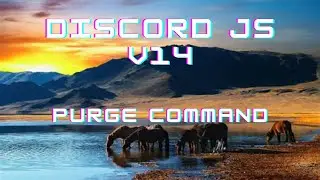 Discord Bot v14 - delete user and channel messages command