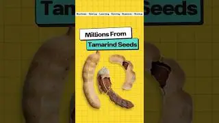 Millions From Tamarind Seed 🤯