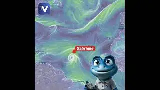 Tropical storm Mario and potential development of Gabrielle