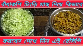বাঁধাকপি চিংড়ি মাছ🥣 দিয়ে কিভাবে করবেন দেখে নিন এই রেসিপি padakopi