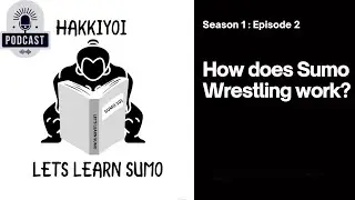 How does Sumo work?