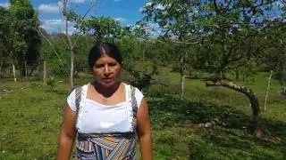 El trabajo de la partera en Alamikanban, Costa Caribe Norte de Nicaragua