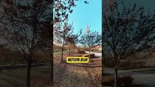 Venaria #three #motionblur #insta360 #gocreators #shorts #shortsfeed #relax #travel