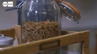 FED UP: The Future of Food - The season so far
