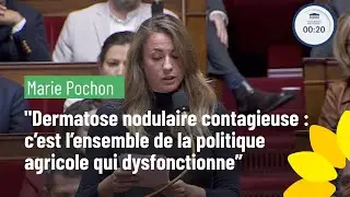 Marie Pochon 