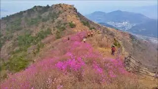 예수 우리 왕이여, 이제 내가 살아도, 보혈을 지나 (온누리선교교회 찬양)