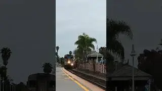 Insane Quilled Hornshow From AMTK 6907 #shorts #viralvideo #train #amtrak #hornshow #insane