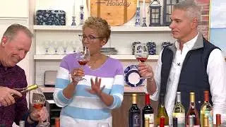 Vino Voyage (12) 750 ml Bottles of Wine Discovery Set on QVC
