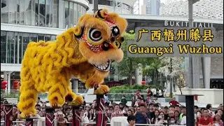 广西藤县醒狮团 Guangxi Teng County｜国际高桩南狮争霸赛 2026｜2nd Pavilion Cup Champion 冠军