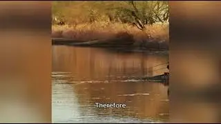 Late Autumn Fishing: 2 Key Weather Indicators for Big Fish in Shallow Water
