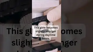 Unknown fact #shorts #tranding #shortvideo