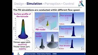 FlowSight Vision based Artificial Lateral Line Sensor for Water Flow Perception