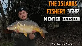 Fishing for BIG CARP at The Islands Fishery! Winter Carp Fishing Session🎣