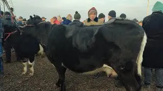 АНА ИРА МОЛ МЕГАН МОЛ БОЗОРИ Н ДУСТИ БОЗОРИ БАРАКАТ 
