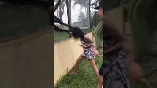 Monkey attacks on girls at zoo Most dangerous animal attacks #worldexplorer #india  #monkey #attack