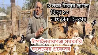 যদি সরকারি কলেজের প্রফেসর ভ্যান চালাতে পারে গরুর বিষ্ঠা পরিষ্কার করতে পারে আমরা কেন পারব না।