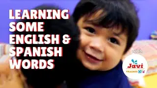 Javi Teacher Kid Learns Some English and Spanish Words