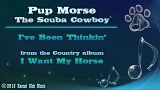Pup Morse 
