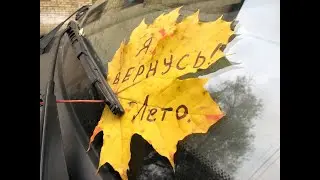 Чтобы осенью не хондрить, надо что нибудь купить )))