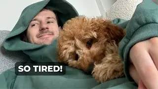 No Sleep, Manchester Gym Tour & Puppy Problems | Weekly Vlog | JOEY HOGGER