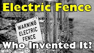 How a Horse and a Car Accident Led to the Electric Fence | History of Electric Fences