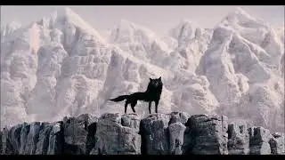 Canis Lupus 1 HOUR LOOP - Fantastic Mr. Fox