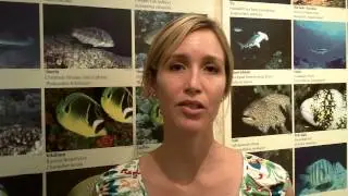 After Thoughts - Science and the Open Ocean - Outreach Talk #3