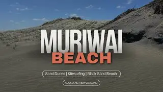 Muriwai Black Sand Beach | Kitesurfing | Sand Dunes | New Zealand