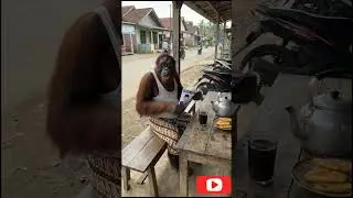 Mari Kita Simak Video KumpulanCelotehan Warga Konoha broo.. 