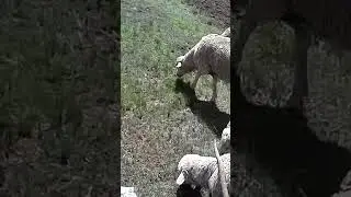 VID 20171231 143914