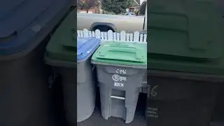 MAPLE BIN CLEANING 🧼 🍁#shorts