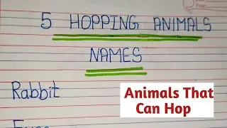 5 Hopping Animals Names// Names of Animals that can hop