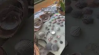 Making shell jewelry: how to 🐚 #shells #shelljewelry #shelling #floridaliving #floridalife