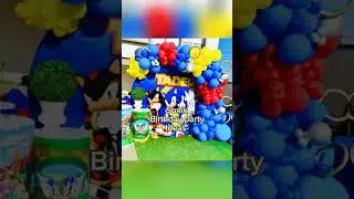 sonic birthday party ideas