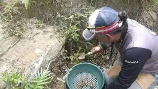Gold exploration in Mersing, Johor, Malaysia.