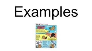 Cartoon Physics